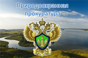Северо-Каспийская межрайонная природоохранная прокуратура разъясняет особенности осуществления туризма на особо охраняемых природных территориях согласно законодательству Российской Федерации.